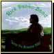 Rick Danko: Live on Breeze Hill