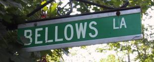 Bellows Lane sign