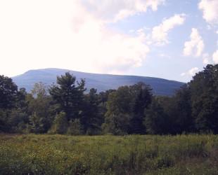 A view of Overlook Mountain from Big Pink's driveway